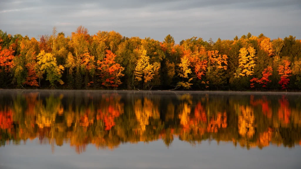 Fall in Wisconsin